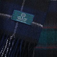 картинка Clans of Scotland Macrae Hunting от магазина  Mykilt